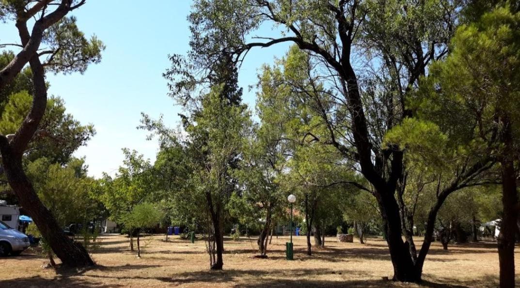סלינה Apartmani Paron Sime מראה חיצוני תמונה