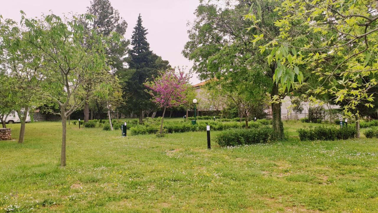 סלינה Apartmani Paron Sime מראה חיצוני תמונה